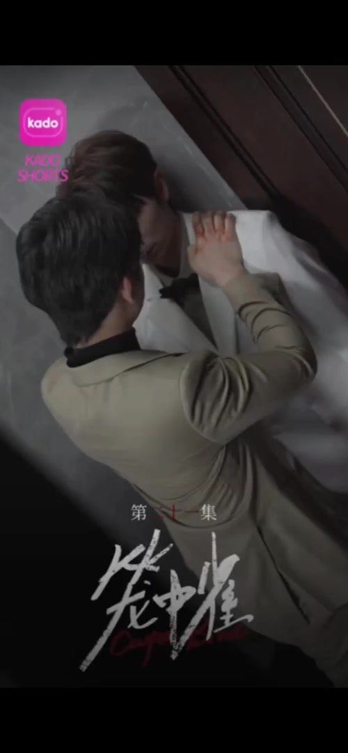 笼中雀海报